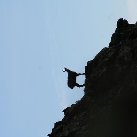 Apart Gletscherblick Kaunertal Bagian luar foto