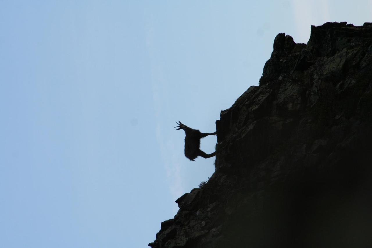 Apart Gletscherblick Kaunertal Bagian luar foto