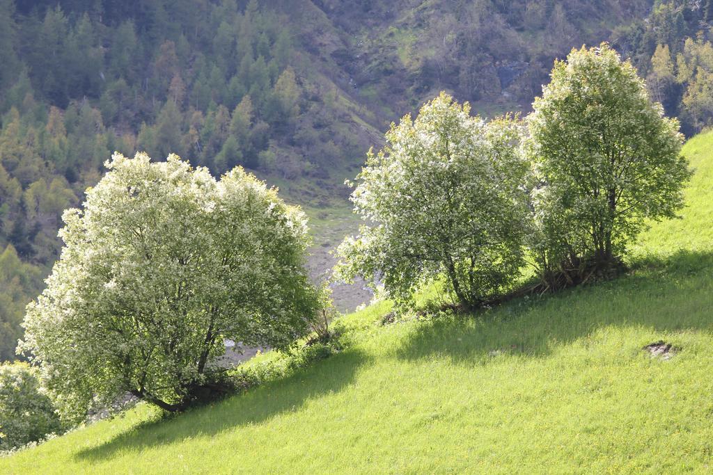Apart Gletscherblick Kaunertal Bagian luar foto