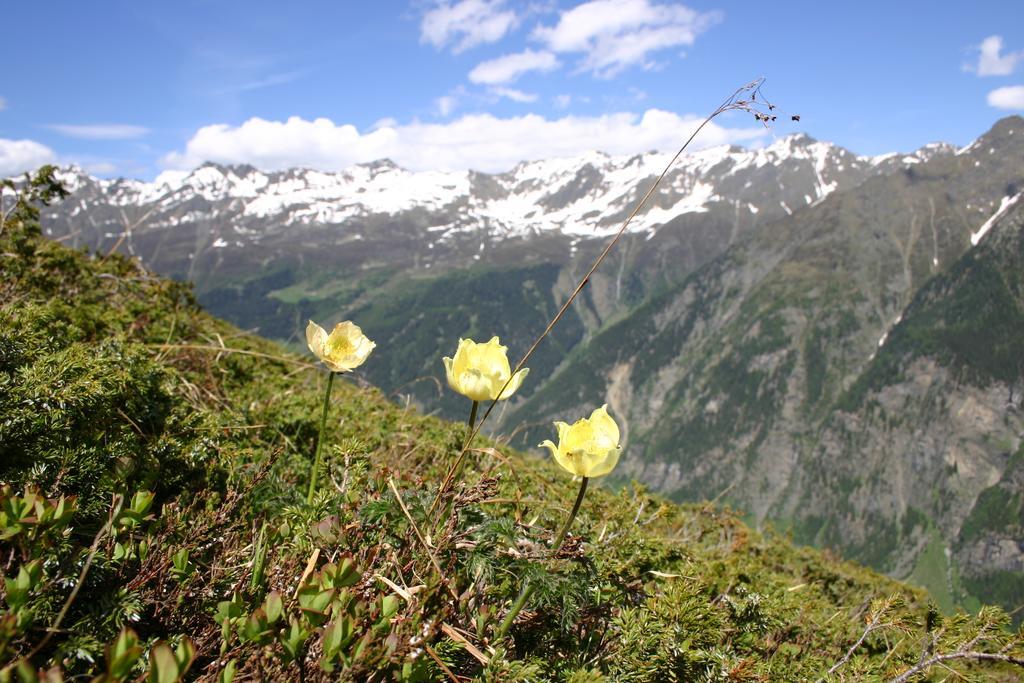 Apart Gletscherblick Kaunertal Bagian luar foto