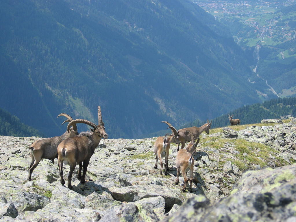 Apart Gletscherblick Kaunertal Bagian luar foto